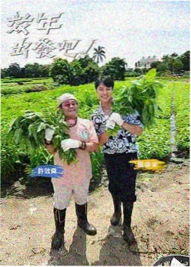 脱口秀大会 影视大全在线观看电视剧